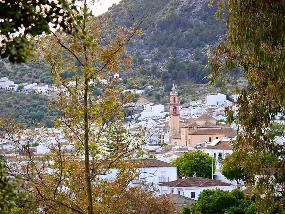Casa Ana Villa Algodonales Eksteriør billede